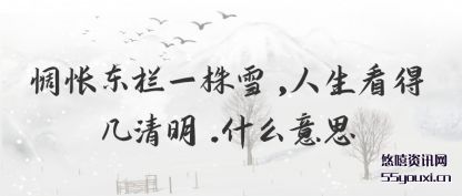 惆怅东栏一株(zhu)雪,人生看得(de)几清明.什么意思